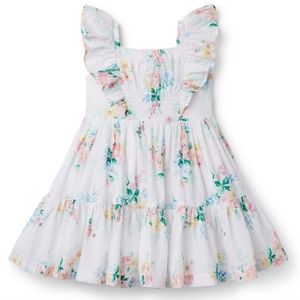 Floral smocked ruffle dress (6 to 12 months)